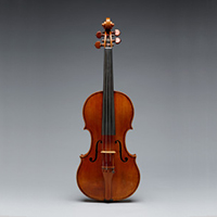 photograph of a violin.